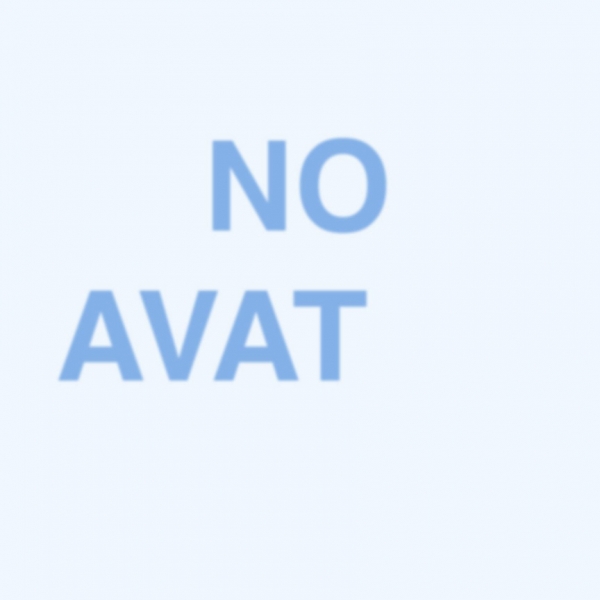 Creation of No avatar: Step 6